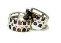 /album/aros1/a40-110-a-jpg/